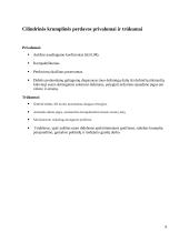 Mechanika cilindrinė krumplinė perdava 8 puslapis