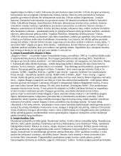 Šiuolaikinė lietuvių literatūra (teorija pagal egzamino klausimus) 3 puslapis