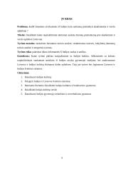 Tarpkultūrinės komunikacijos skirtumai akademinėje ir verslo aplinkoje 2 puslapis