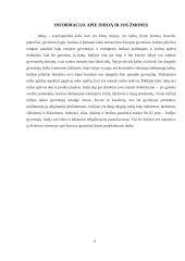 Tarpkultūrinės komunikacijos skirtumai akademinėje ir verslo aplinkoje 3 puslapis