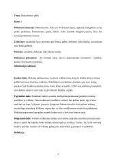 Dailės  pamokos planas 2 puslapis