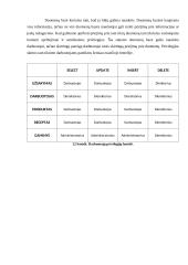 Kepyklos duomenų bazė 13 puslapis