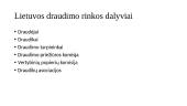 Draudimo rinka 4 puslapis