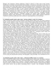 Šiuolaikinės  politikos teorijos 16 puslapis