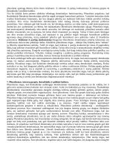 Šiuolaikinės  politikos teorijos 6 puslapis