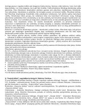 Šiuolaikinės  politikos teorijos 7 puslapis