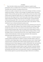 Klientų grupės analizė pasitelkiant sociologijos ir/ar filosofijos  teorijas  2 puslapis