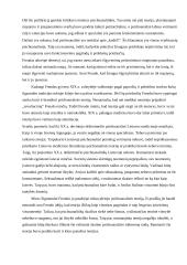 Klientų grupės analizė pasitelkiant sociologijos ir/ar filosofijos  teorijas  4 puslapis