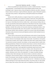 Klientų grupės analizė pasitelkiant sociologijos ir/ar filosofijos  teorijas  7 puslapis