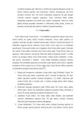 Kenkėjiškų kompiuterinių programų kūrimas ir jų panaudojimas ir baudžiamoji teisė 6 puslapis