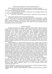 Taikomieji makroekonominiai modeliai 2 puslapis