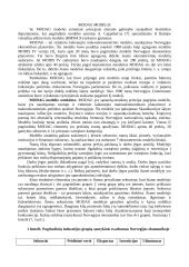 Taikomieji makroekonominiai modeliai 7 puslapis