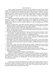 Taikomieji makroekonominiai modeliai 9 puslapis