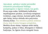 Darbo tema lietuvių literatūroje (Šatrijos Ragana) 2 puslapis