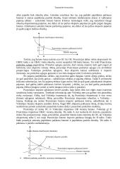 Tarptautinė ekonomika 9 puslapis