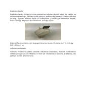 Aušinimo sistema (referatas) 6 puslapis