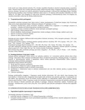 Tarptautinės ekonomikos teorija 11 puslapis