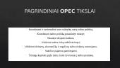 OPEC organizacija (skaidrės) 10 puslapis