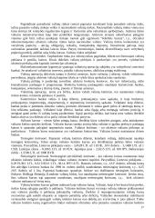 Tarptautinių finansų klausimai ir medžiaga 17 puslapis