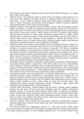 Tarptautinių finansų klausimai ir medžiaga 20 puslapis