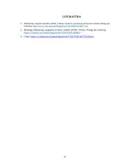 UAB „Karšti ledai“ apibūdinimas ir veiklos dokumentai 17 puslapis