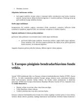Tarptautinių finansų klausimai egzaminui 11 puslapis