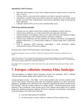 Tarptautinių finansų klausimai egzaminui 13 puslapis