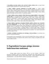 Tarptautinių finansų klausimai egzaminui 15 puslapis