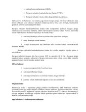 Tarptautinių finansų klausimai egzaminui 16 puslapis