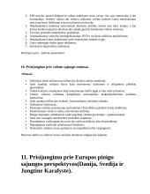 Tarptautinių finansų klausimai egzaminui 17 puslapis