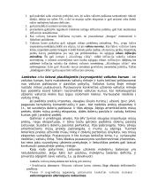 Tarptautinių finansų klausimai egzaminui 8 puslapis