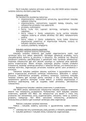 Tarptautiniai standartai 2 puslapis