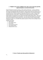 Piniginis turtas 2 puslapis