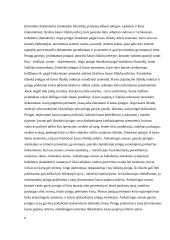 Piniginis turtas 4 puslapis