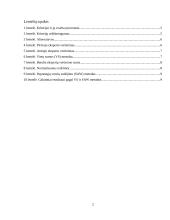 Įmonės problemos sprendimas 2 puslapis