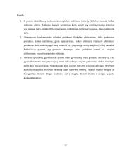 Įmonės problemos sprendimas 12 puslapis