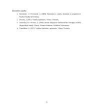 Įmonės problemos sprendimas 13 puslapis