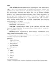 Įmonės problemos sprendimas 3 puslapis