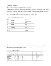 Įmonės problemos sprendimas 4 puslapis