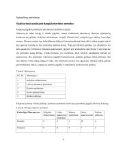 Įmonės problemos sprendimas 6 puslapis