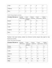 Įmonės problemos sprendimas 7 puslapis