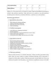 Įmonės problemos sprendimas 10 puslapis