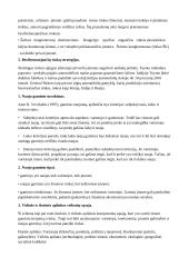 Viskas apie tarptautinį marketingą 13 puslapis