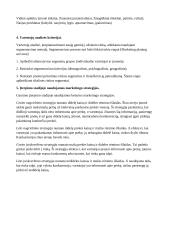 Viskas apie tarptautinį marketingą 14 puslapis