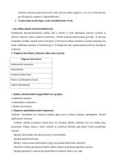 Viskas apie tarptautinį marketingą 3 puslapis