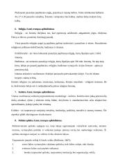 Viskas apie tarptautinį marketingą 8 puslapis