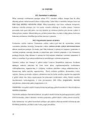 Verslo planas UAB „Ežiuolė“  17 puslapis