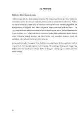 Verslo planas UAB „Ežiuolė“  19 puslapis