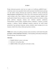 Verslo planas UAB „Ežiuolė“  2 puslapis