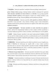 Verslo planas UAB „Ežiuolė“  5 puslapis